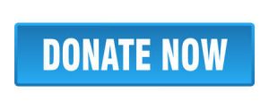 143288636 donate now button donate now square blue push button